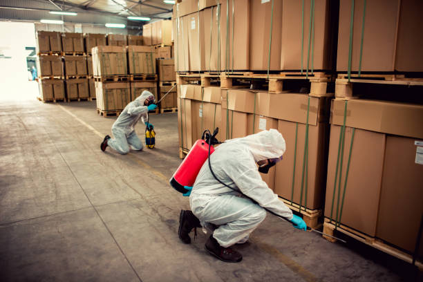 Best Termite Control Services  in Whitehouse, OH