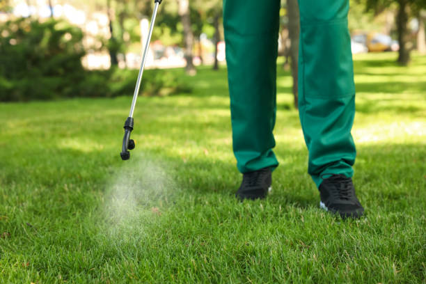 Best Affordable Pest Control Services  in Whitehouse, OH
